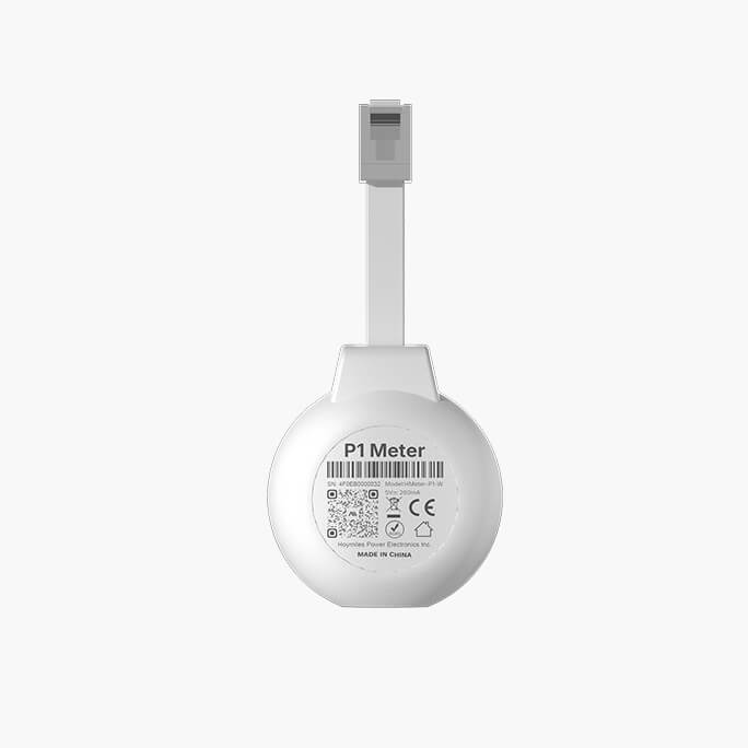 Hoymiles P1-meter met antenne
